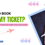 How to Book Dummy Flight Ticket for free