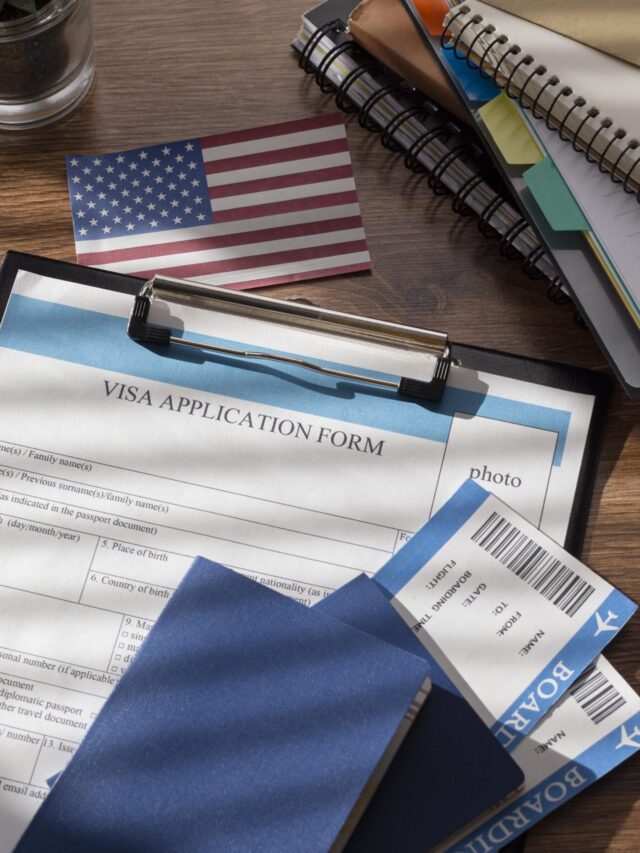 Is Dummy Ticket Legal for Visa & Immigration Checks