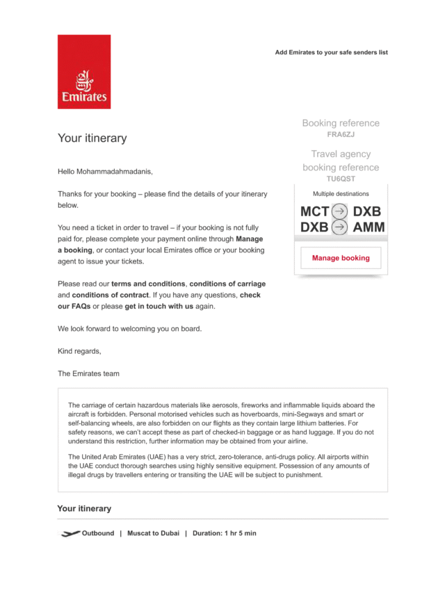 How Dummy Ticket Sample exactly  look like